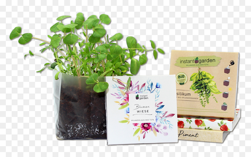 Garden, HD Png Download - garden plants png