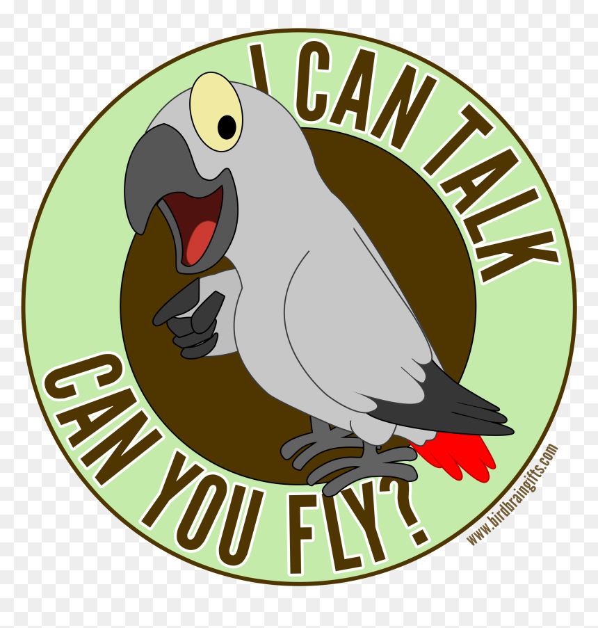 Parrot Cartoon, Cute Birds, - Identity And Access Management, HD Png Download - cute birds png