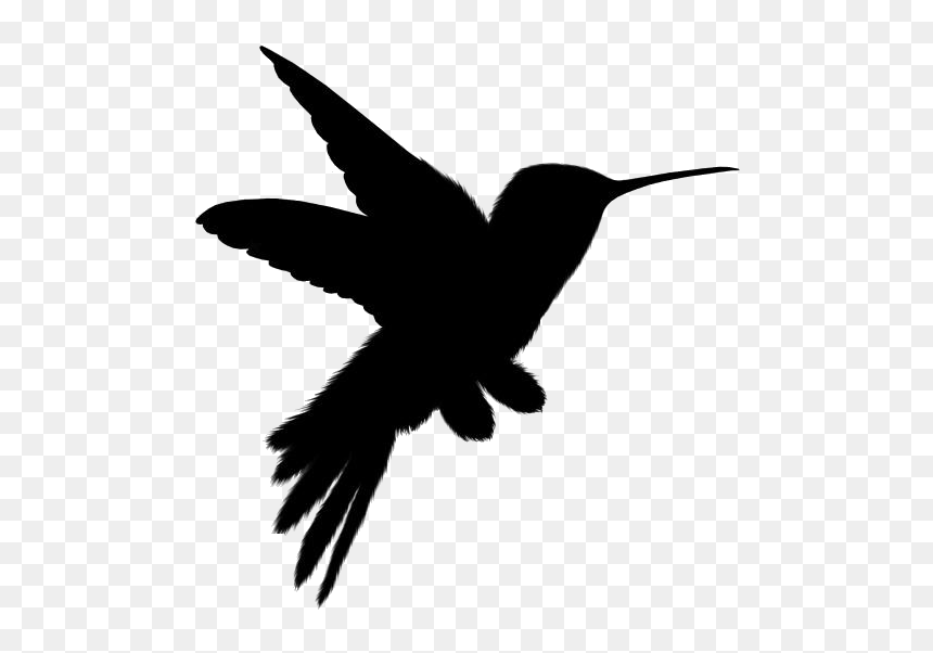 Cute Birds Png Transparent Images - Hummingbird, Png Download - cute birds png