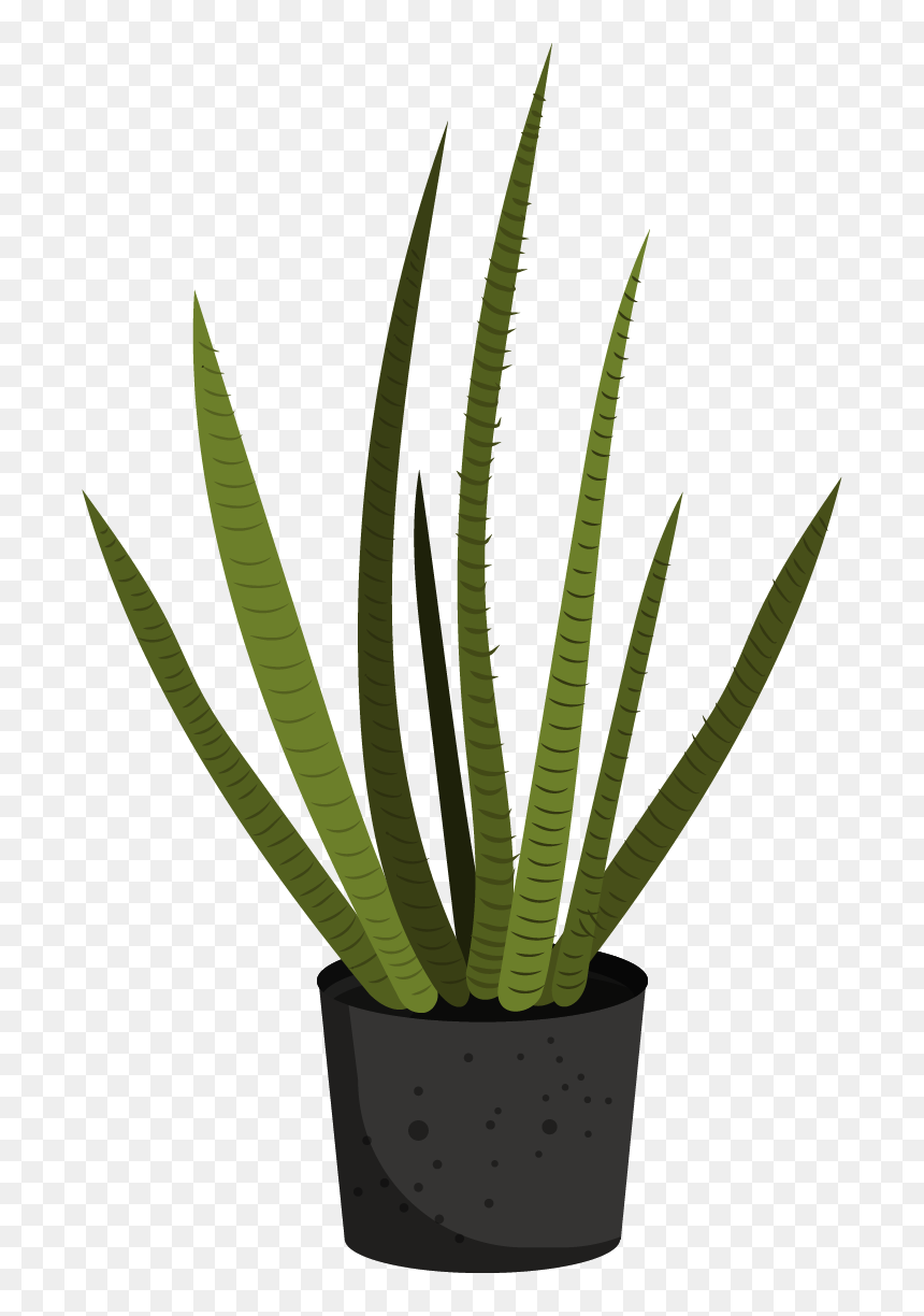 Flowerpot, HD Png Download - agave plant png