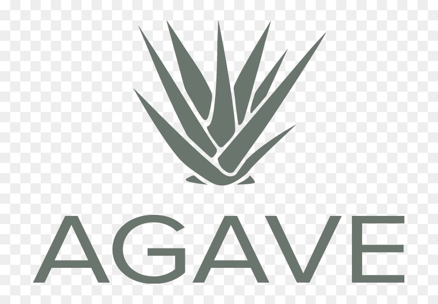 Transparent Agave Png - Agave, Png Download - agave plant png