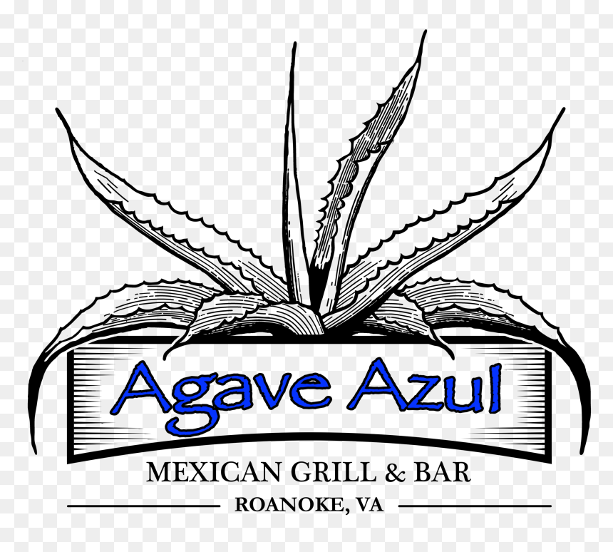 Image7 - Illustration, HD Png Download - agave plant png