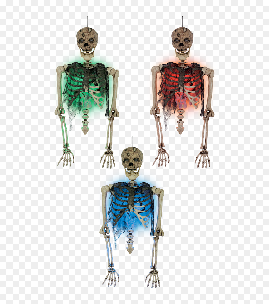 Zombie Torso With Blister Chest - Illustration, HD Png Download - torso png