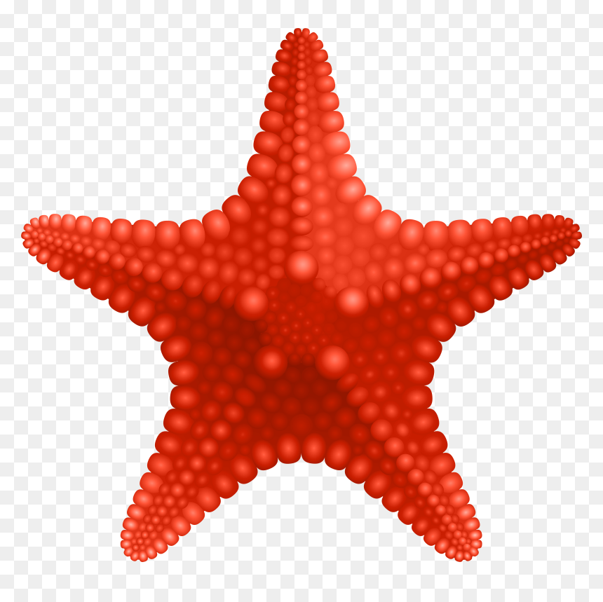 Starfish Clip Art Image Gallery High-quality Transparent, HD Png Download - starfish clip art png