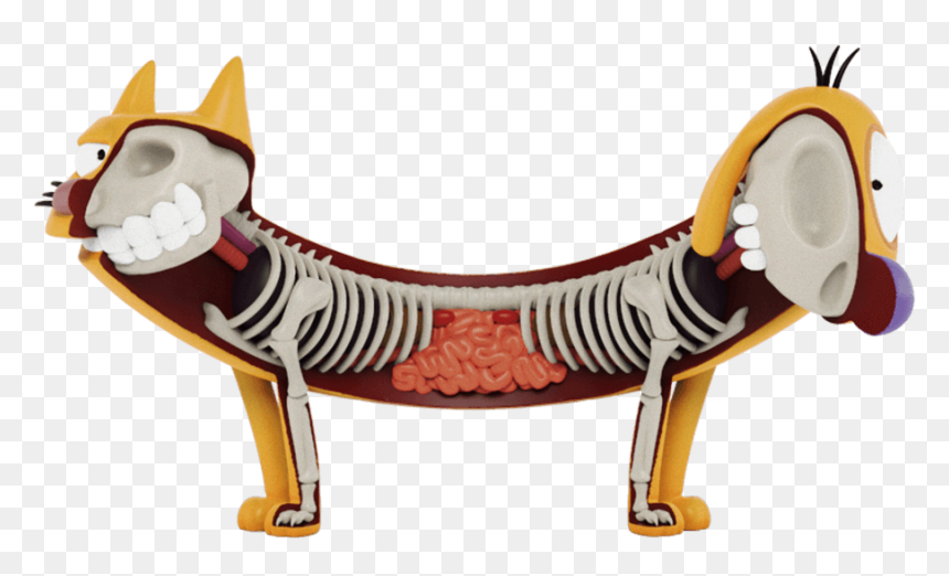 Catdog Xray, HD Png Download - spongebob pineapple png