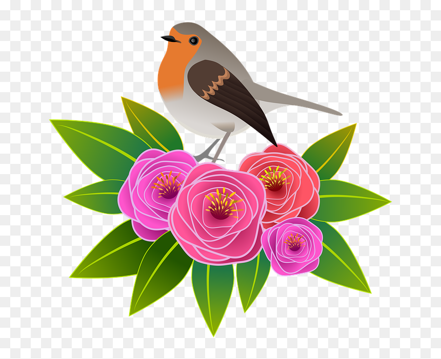 Flowers, Illustration, Bird, Animal, Floral, Roses - European Robin, HD Png Download - flowers illustration png