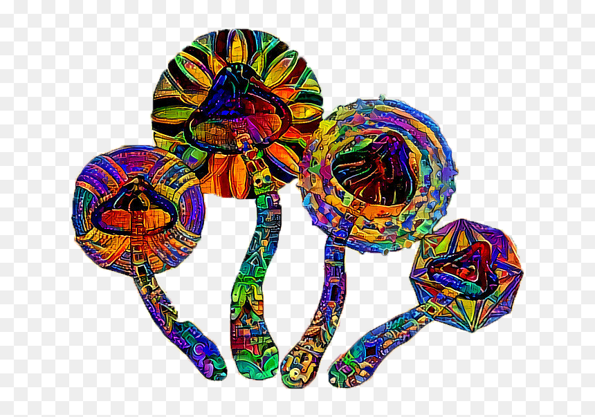 Daydreemer X Rancid Petri Dish Art, HD Png Download - petri dish png