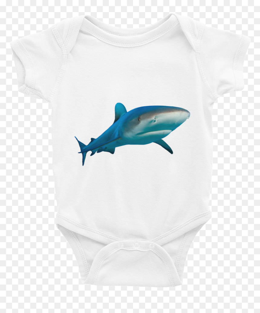 "
 Class="lazyload Lazyload Mirage Cloudzoom "
 Style= - Hammerhead, HD Png Download - great white png