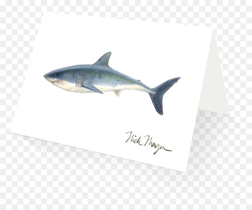Great White Png, Transparent Png - great white png