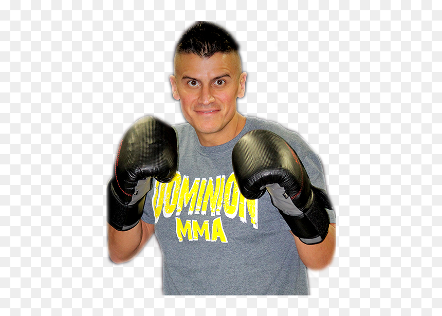Professional Boxing, HD Png Download - mma png