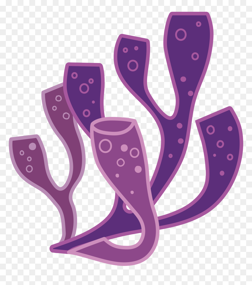 Coral Png, Transparent Png - coral png