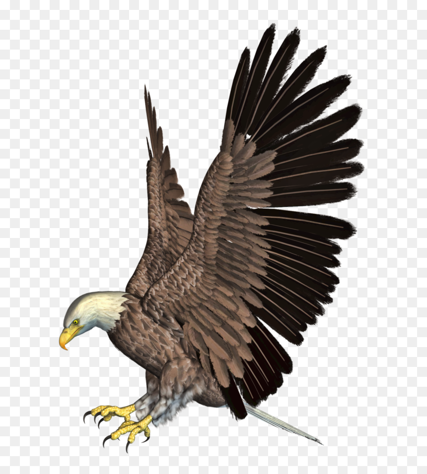 Eagle Clipart Png, Transparent Png - bald eagle png
