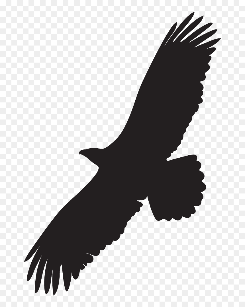 Golden Eagle Flight Silhouette, HD Png Download - bald eagle png