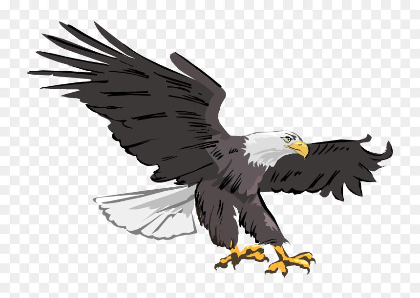 Eagle Clipart, HD Png Download - bald eagle png