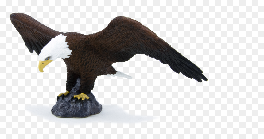 Bald Eagle Png, Transparent Png - bald eagle png