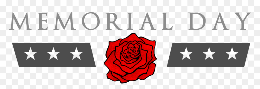 Garden Roses, HD Png Download - memorial day png