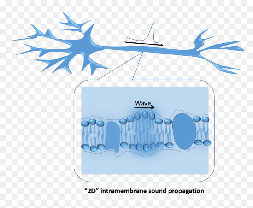 Clip Art, HD Png Download - sound waves png