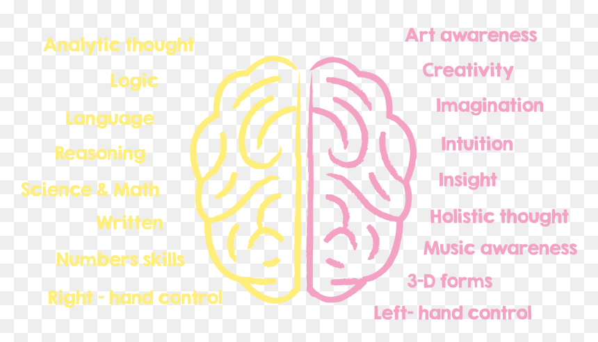 Left And Right Brain Importance, HD Png Download - sound waves png