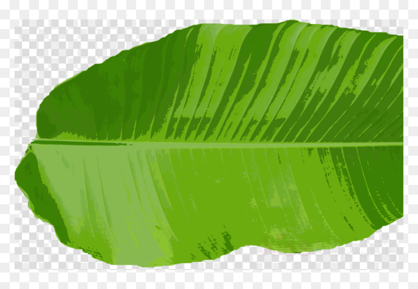 Batman Logo Png, Transparent Png - palm leaf png