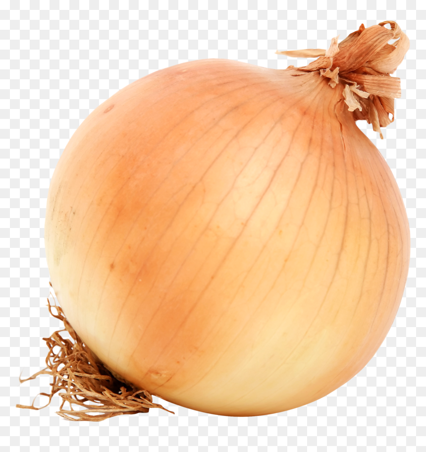 Onion Png, Transparent Png - onion png