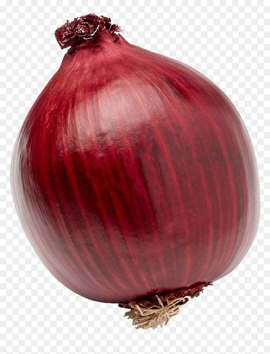 Onion Png, Transparent Png - onion png