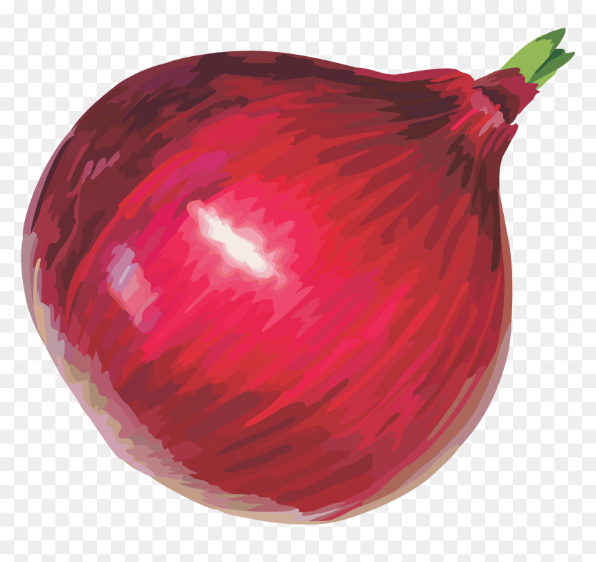 Onion Cliparts, HD Png Download - onion png