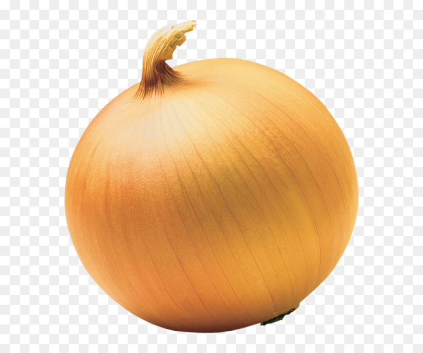 End Of A Onion, HD Png Download - onion png