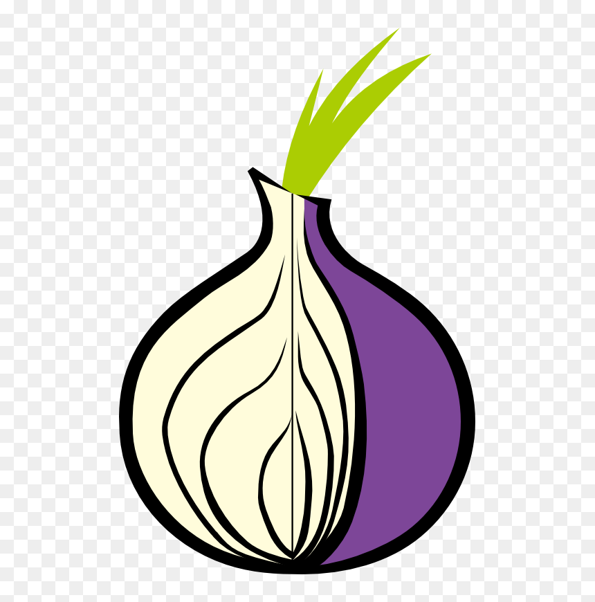 Onion Tor, HD Png Download - onion png