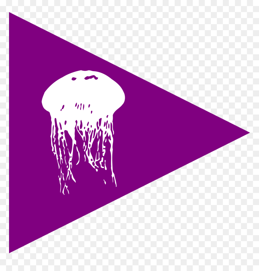 Jellyfish Flag, HD Png Download - jellyfish png