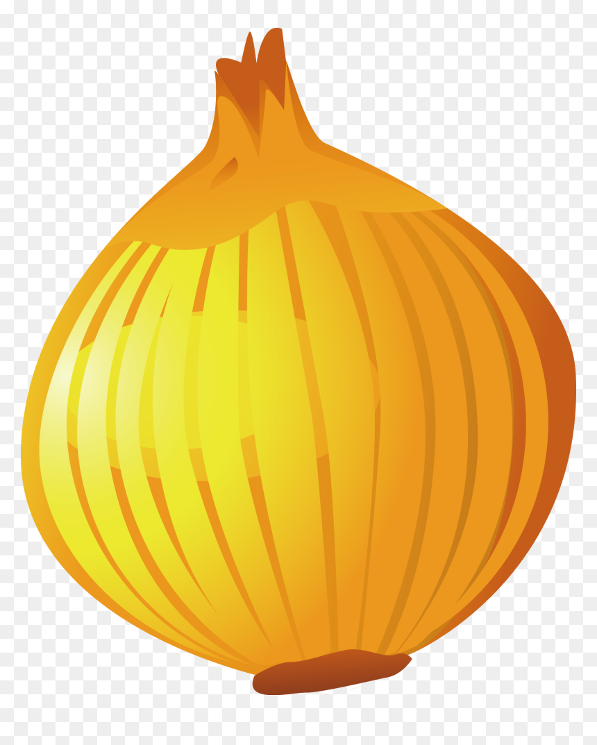 Onion, HD Png Download - onion png