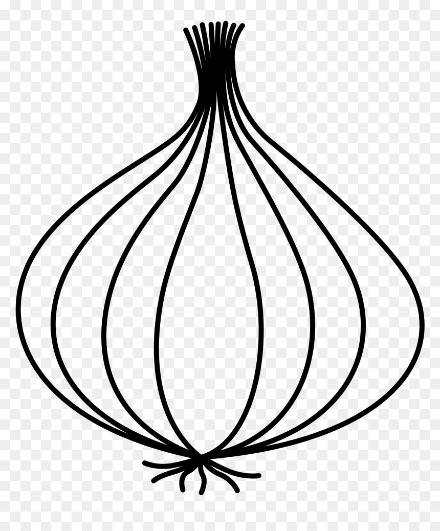 Drawing Image Of Onion, HD Png Download - onion png