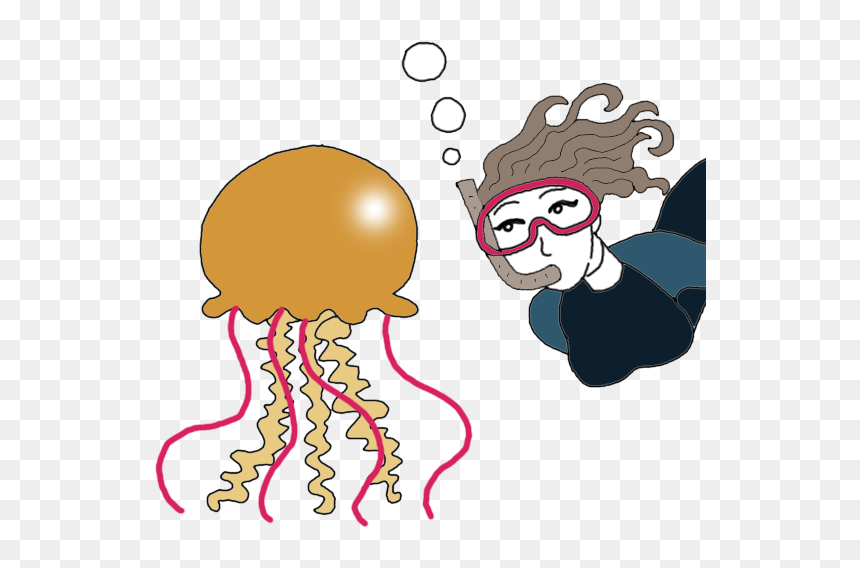Illustration, HD Png Download - jellyfish png