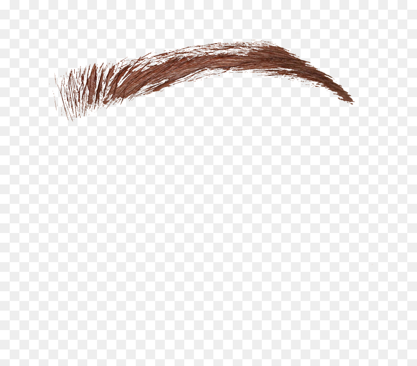 Бровь Пнг, HD Png Download - eyebrow png