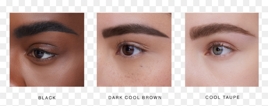 Warm Black Brown Eyebrow, HD Png Download - eyebrows png