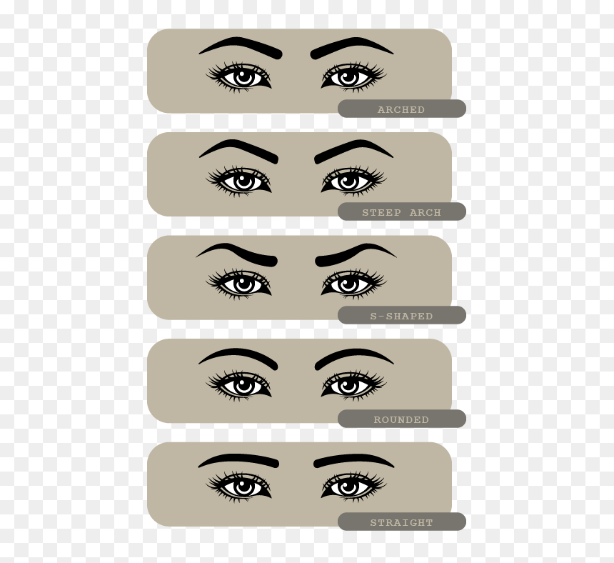 Illustration, HD Png Download - eyebrow png
