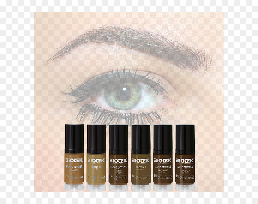 Colori Trucco Permanente Biotek, HD Png Download - eyebrow png