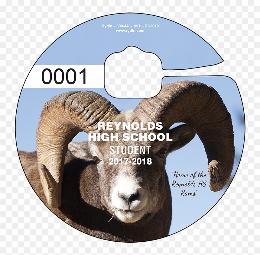 Bighorn, HD Png Download - ram animal png