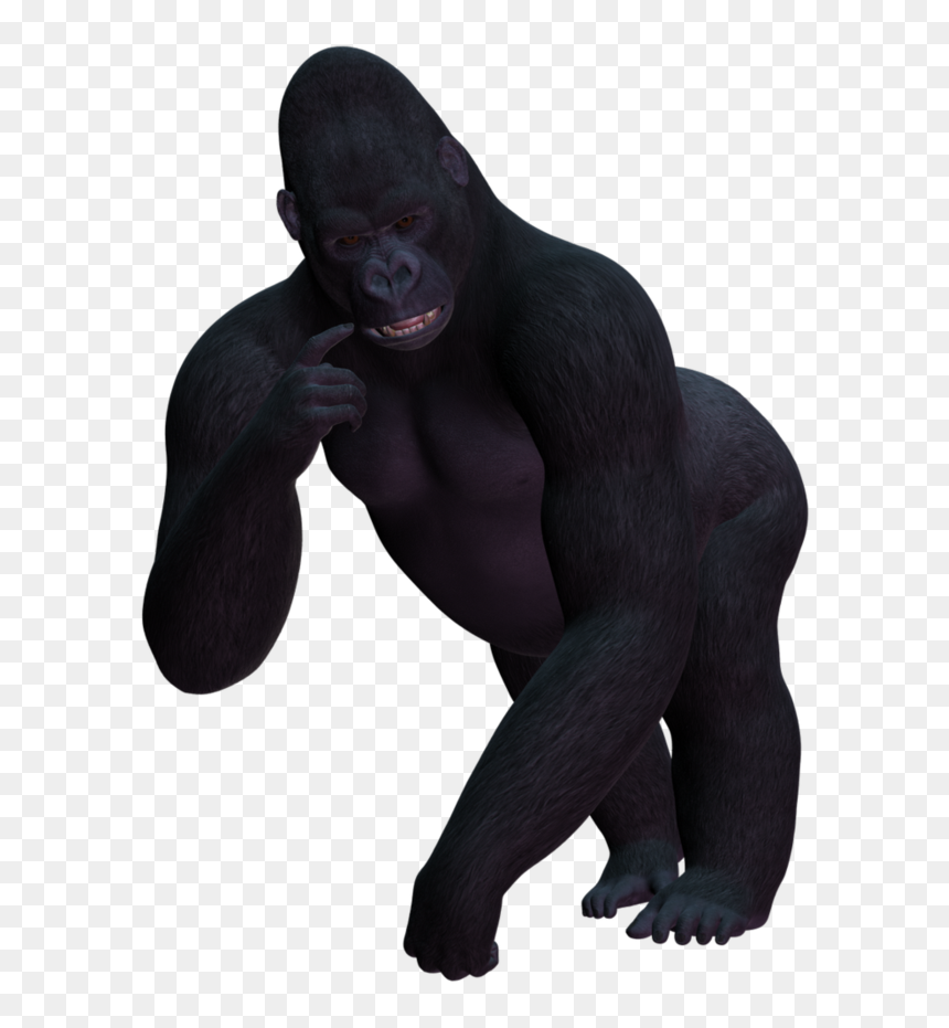 Western Gorilla Transparency And Translucency Clip - Gorilla Transparent Background, HD Png Download - harambe png transparent