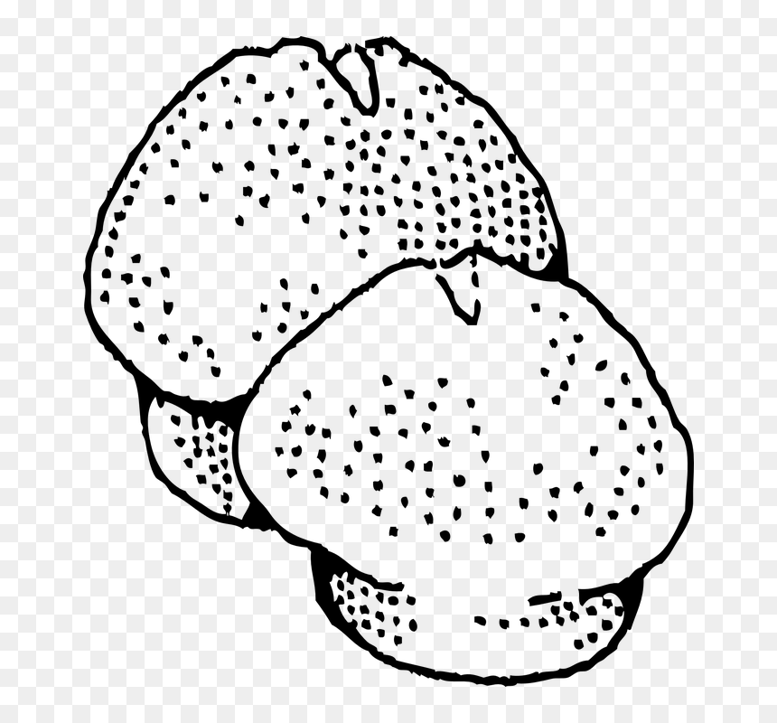 Muffin, Cup, Cake, Poppy, Seed, Cupcake, Snack - Rice Cake Black And White Clip Art, HD Png Download - black and white cupcake png