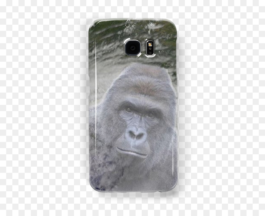 Mountain Gorilla, HD Png Download - harambe png transparent