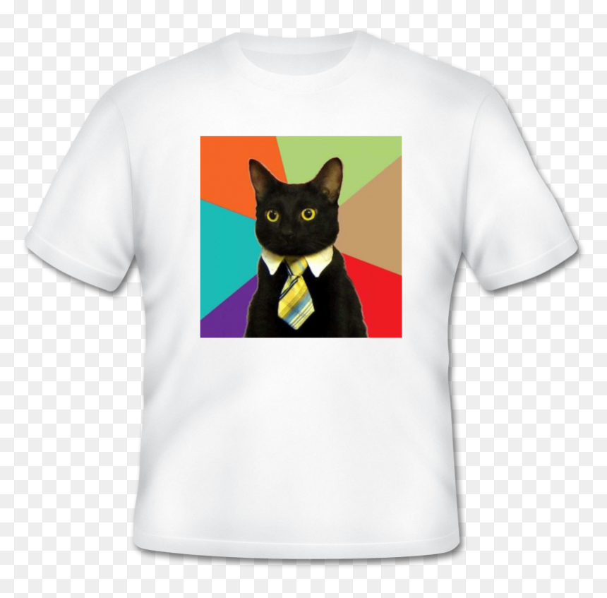 Need To Come In On Caturday, HD Png Download - cat meme png