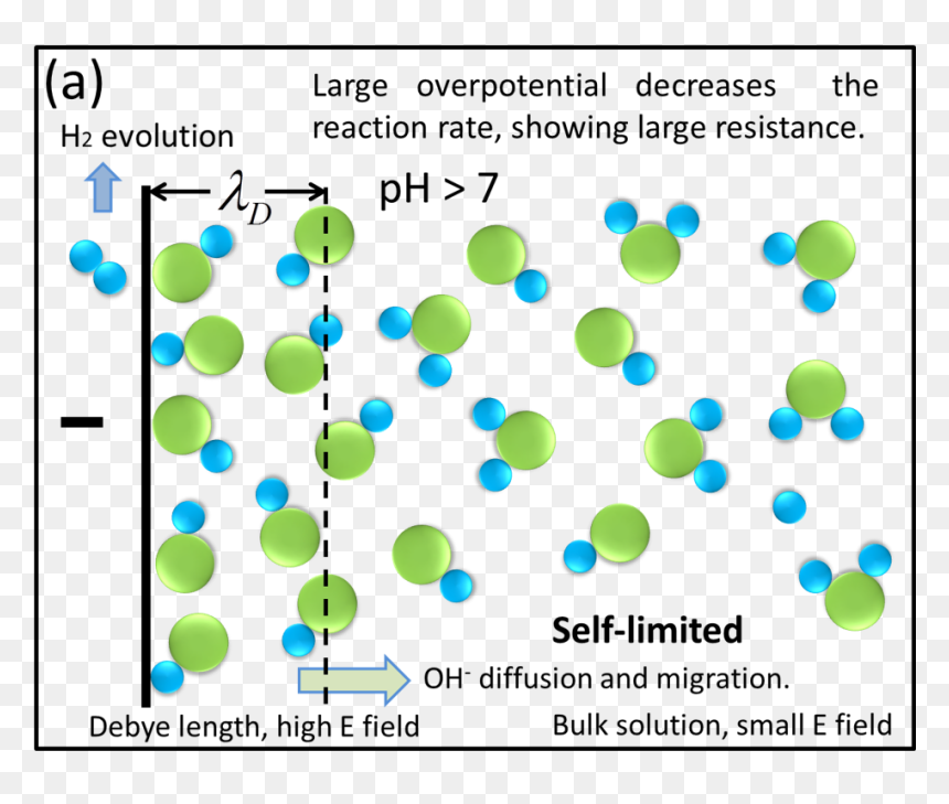 Pure Water In Macrosystem - Diagram Of Pure Water, HD Png Download - water circle png