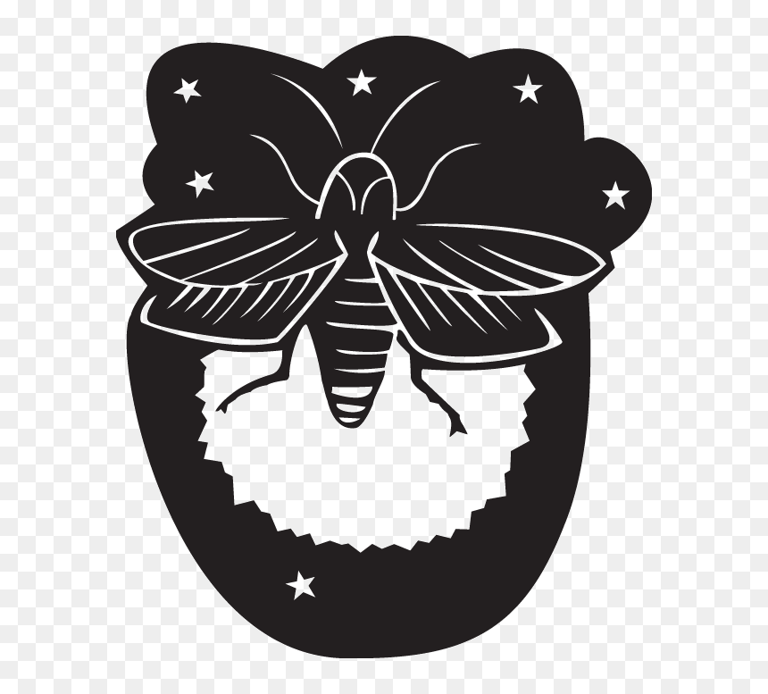 Decal Options Firefly Clip Art - Firefly Clip Art, HD Png Download - firefly logo png