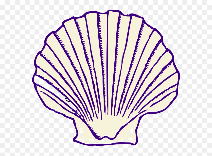 Seashell Clip Art - Seashell Black And White, HD Png Download - seashell silhouette png