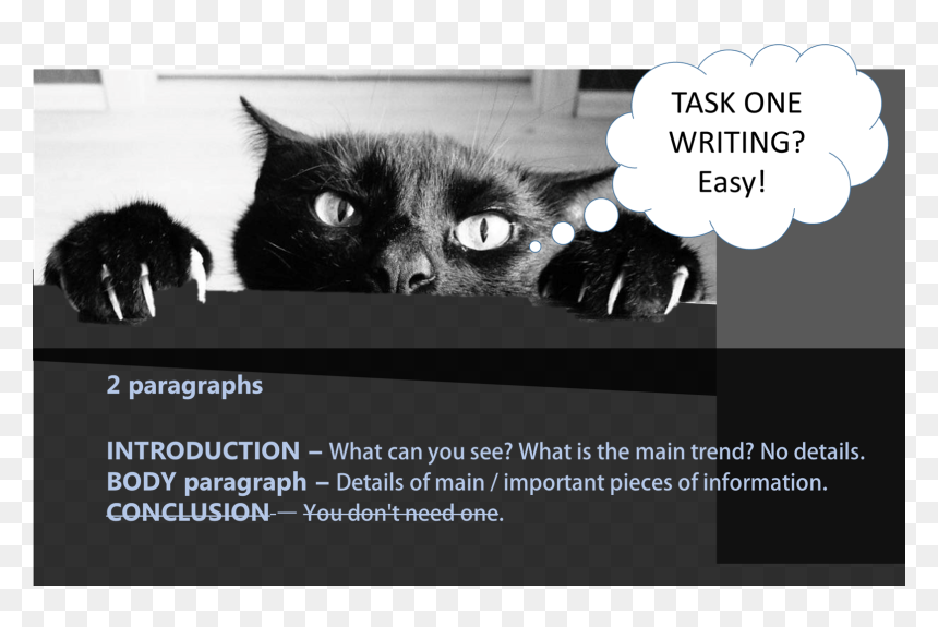 Ielts Writing Tip - Cats And Daylight Savings, HD Png Download - cat meme png