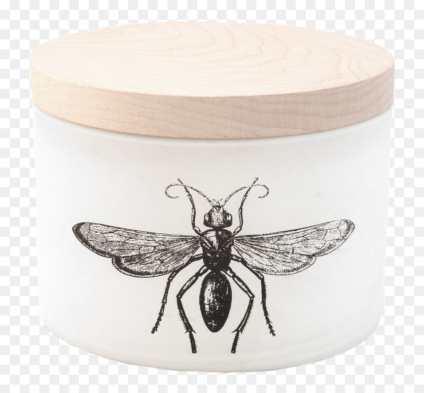 3-wick Citronella Candle"
 Srcset="//cdn - Citronella Oil, HD Png Download - salt shaker pouring png