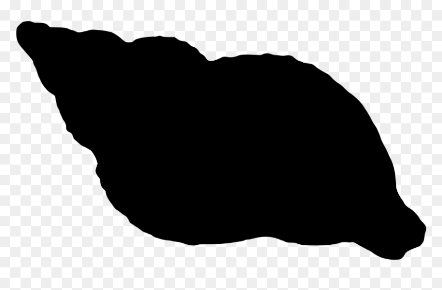 Wild Seashore Shore Nature Wildlife Aquatic Animal - Clam, HD Png Download - seashell silhouette png