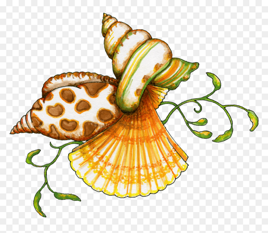 Free Clipart Seashells, HD Png Download - seashell silhouette png