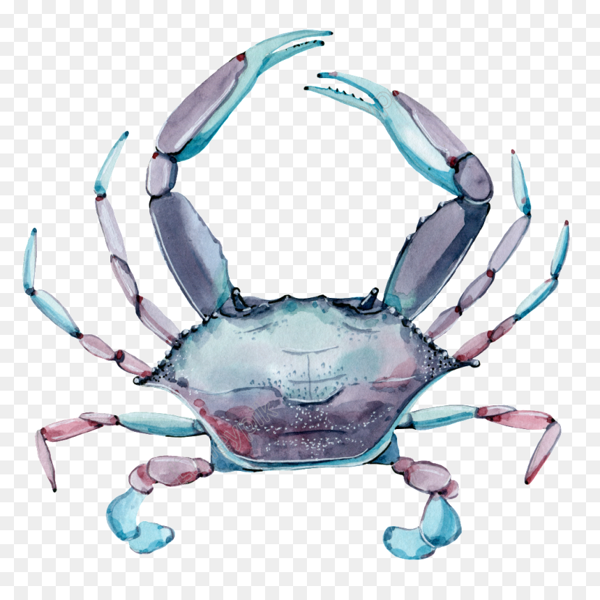 Crab Png Transparent Images - Caranguejo Que Muda De Cor, Png Download - crab silhouette png