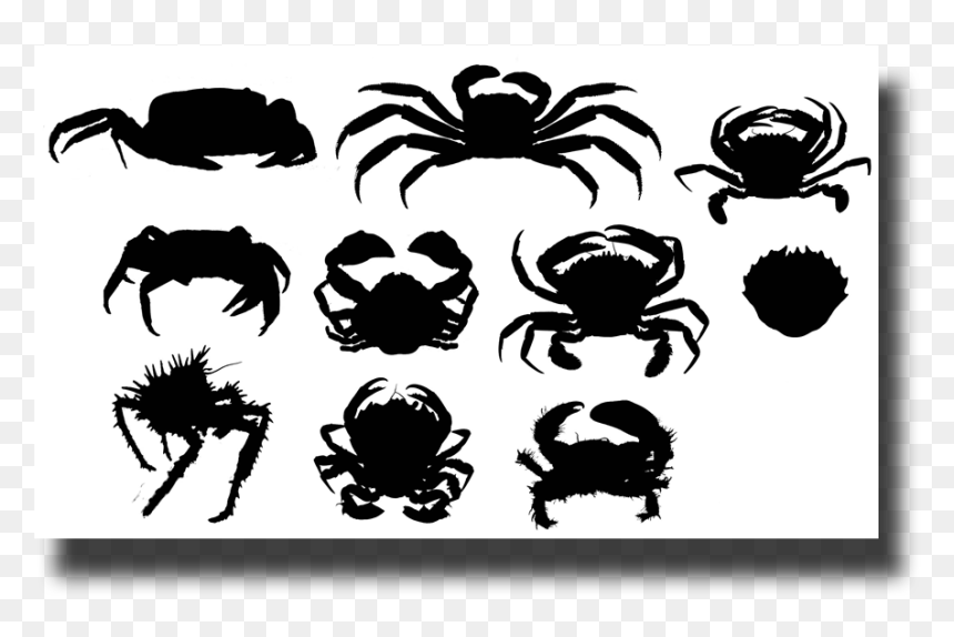 Insect, HD Png Download - crab silhouette png